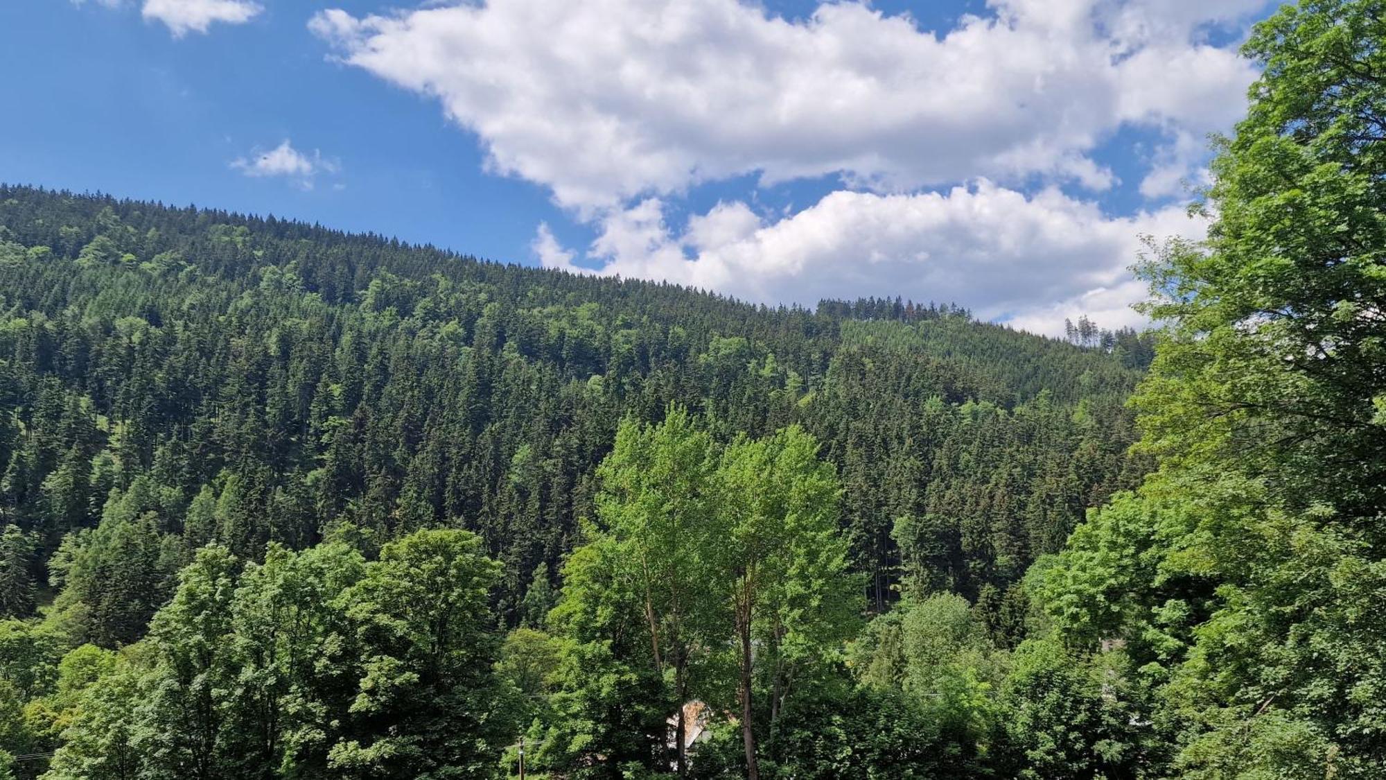 Pension Pstruží Abertamy Bagian luar foto