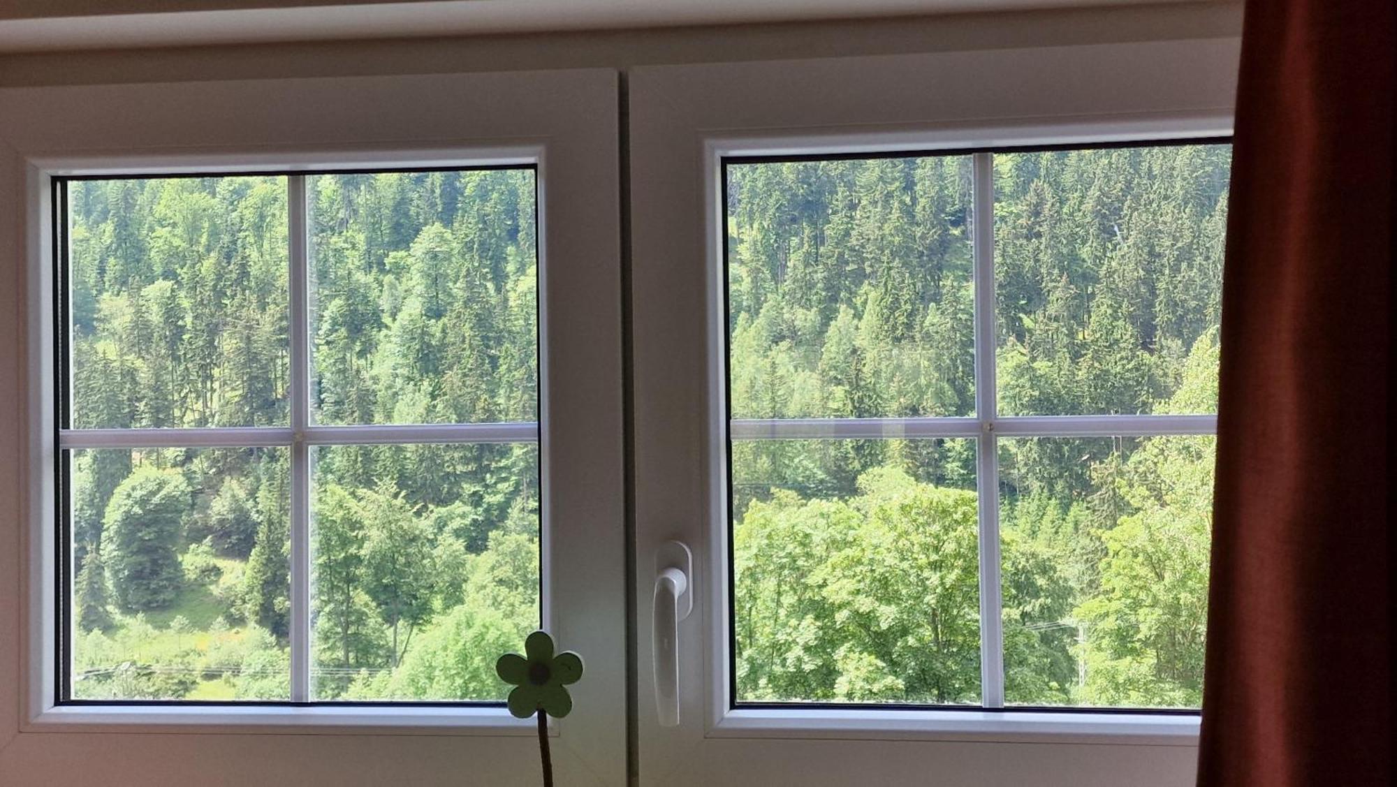 Pension Pstruží Abertamy Bagian luar foto